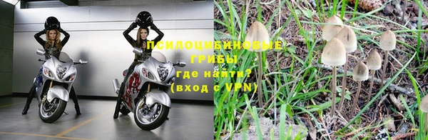 трава Баксан