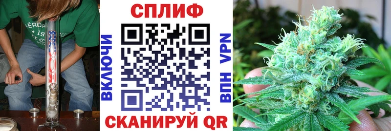 Бошки Шишки MAZAR  Вуктыл 